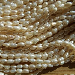 淡水真珠 １連素材販売　５～７ミリ 2枚目の画像