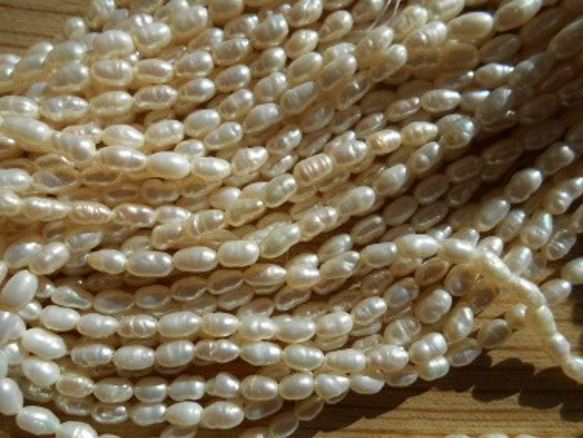 淡水真珠 １連素材販売　５～７ミリ 2枚目の画像