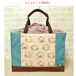 Sophia様専用】文鳥さんのおでかけキャリーバッグ♪（SANKOウィズキャリー*M用）ケージ移動用バッグ 1枚目の画像