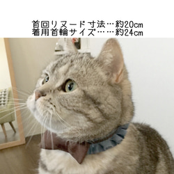 フリル 首輪 着せ替えリボン付き 3点セット ネイビー 品番 ⑥ 5枚目の画像