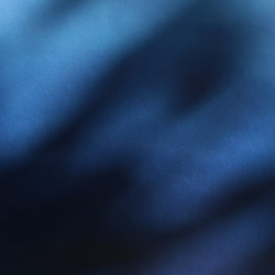 靛藍染色皮革 [migaki] 皮革托盤 第8張的照片