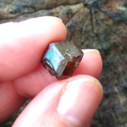 C◇国産レインボーガーネット◇原石11mm/6.5ct 天然石 HAYSTONE 通販