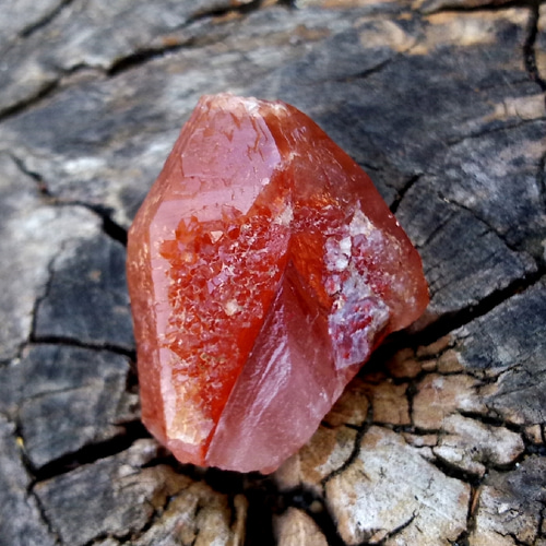 レッドスピリットクォーツ◇モロッコ産赤水晶mm 天然石 HAYSTONE 通販