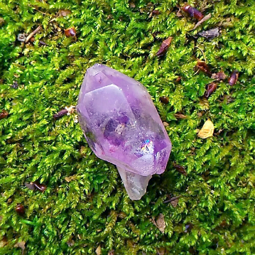 SALE¥2975→¥2380】虹の種◇アメジストエレスチャル◇セプター水晶