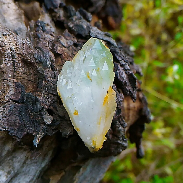 緑の三角たち◆国産水晶◆原石 1枚目の画像