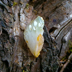 緑の三角たち◆国産水晶◆原石 3枚目の画像