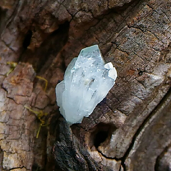 おくるみ◆国産水晶◆ミニ原石 2枚目の画像
