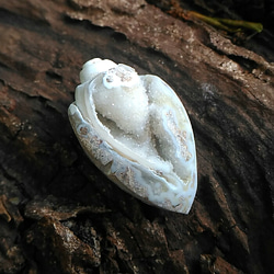 【送料無料】ドゥルージー貝化石◆白い女神 2枚目の画像