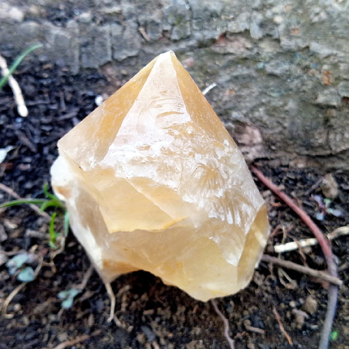 希少‼️初期‼️ゴールデンザギマウンテンクォーツ原石 ゴールデンザギマウンテンクォーツ原石【希少】 - リアファル