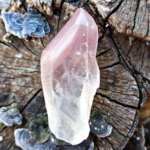 クリアーピンク◇リチウムクォーツ51mm 天然石 HAYSTONE 通販 8932375