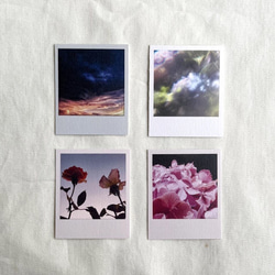 ポラロイドカードセット／Nature【10枚入】 5枚目の画像
