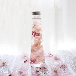 桜と春花のハーバリウム★ピンク 1枚目の画像