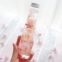 桜と春花のハーバリウム★ピンク 2枚目の画像