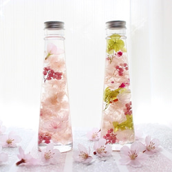 桜と春花のハーバリウム★ピンク 3枚目の画像