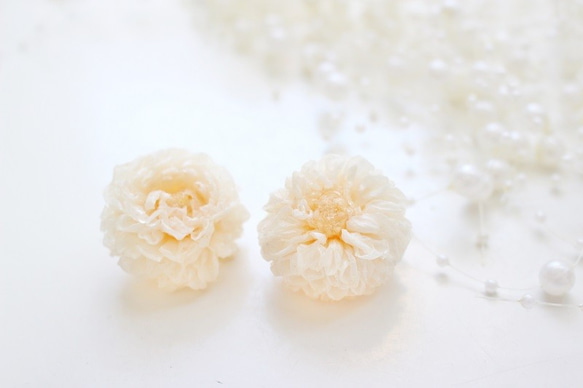 ミニダリア♥ナチュラルホワイト♥お花のピアス♥ 1枚目の画像