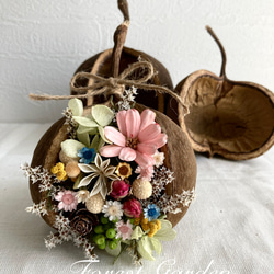 レシピ付き＊おうちで作るブッダナッツ ドライフラワー Forest Garden