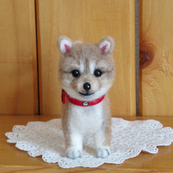羊毛フェルト　　柴犬(子犬) 羊毛フェルト 豆柴 柴犬子犬 完成品 羊毛フェルト SweetDog ふぅ