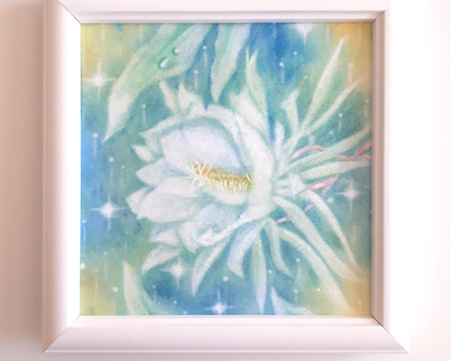 「月下美人」絵画 油絵 油彩  絵 花 植物画 静物画  原画 F6号 楽天市場】油彩画 F6号 千賀節子 「赤薔薇」 真筆 額入り 額装
