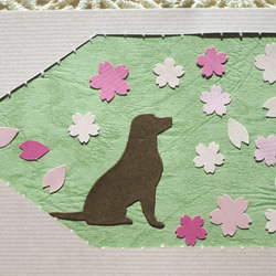 【再販】桜と犬のカードセット 2枚目の画像