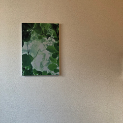 「怜葉」樹木写真　A4,A3パネル仕上げ 3枚目の画像