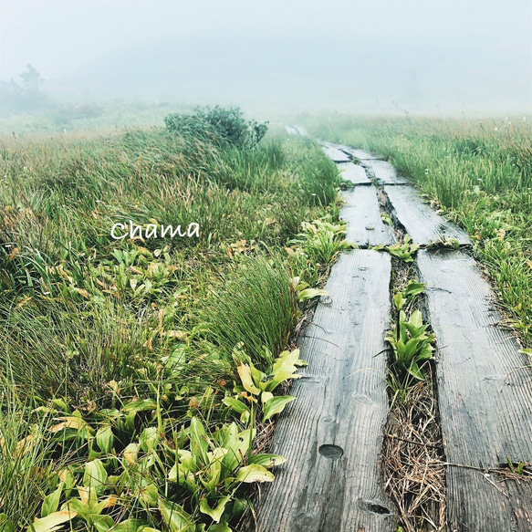 柔愁」山岳写真 スクエアパネル仕上げ 写真・グラフィック 佐藤真紀  