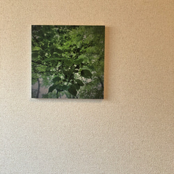 「澪葉」樹木写真　スクエアパネル仕上げ 2枚目の画像