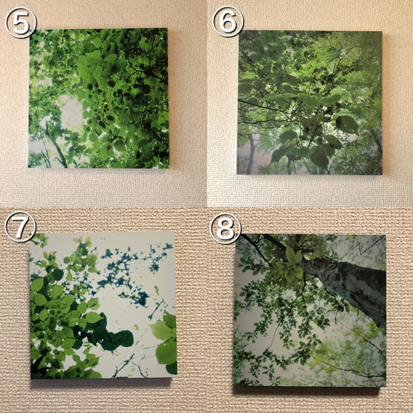 お好きなパネル選べます！14㎝スクエアパネル樹木写真4枚セット 4枚目の画像