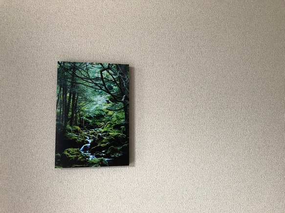 「森の中へ」樹木写真　A4,A3パネル仕上げ 2枚目の画像