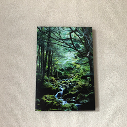 「森の中へ」樹木写真　A4,A3パネル仕上げ 3枚目の画像