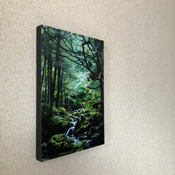 「森の中へ」樹木写真　A4,A3パネル仕上げ 4枚目の画像