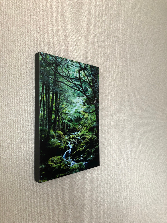 「森の中へ」樹木写真　A4,A3パネル仕上げ 4枚目の画像
