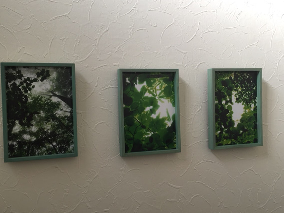 樹木写真 小窓シリーズ 3点セット 3枚目の画像