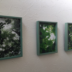 樹木写真 小窓シリーズ 3点セット 4枚目の画像