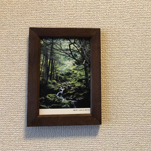 絵画ポストカード額入り ポストカードをオブジェに！「額入り樹木ポストカード」森の中へ 写真