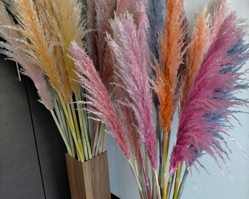 0_52c4f13a7c70f79be528559d8f4f