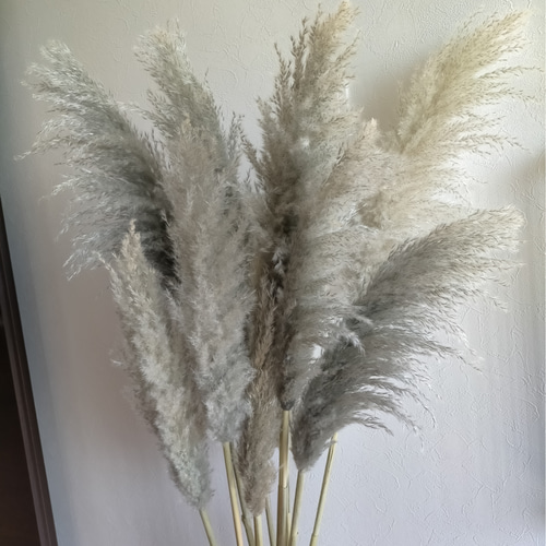 まとめ売り】ドライフラワーパンパスグラスウェディングインテリア飾り
