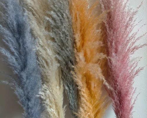 ドライフラワー❇️ゴールドとパンパス❣️ D018]ドライフラワーバスケット – Flower Market 花子さん