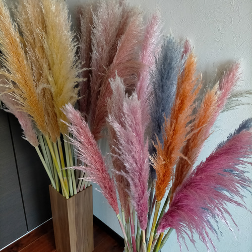 ドライフラワー❇️ゴールドとパンパス❣️ お洒落アンティーク系ドライフラワーセット パンパスグラス 開店祝い