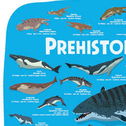 クジラの進化A2ポスター 2枚目の画像
