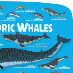 クジラの進化A2ポスター 3枚目の画像