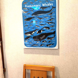 クジラの進化A2ポスター 8枚目の画像