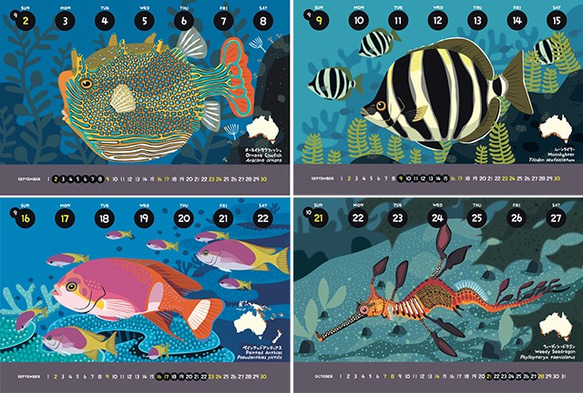 2018オーストラリア固有魚カレンダー 4枚目の画像