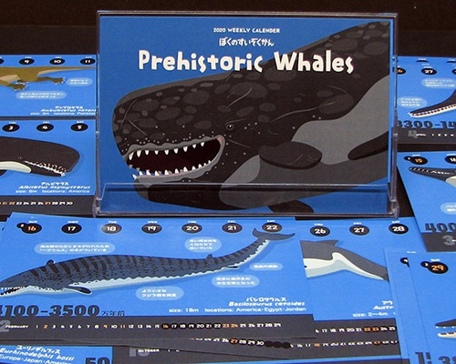 0_fd6d620aef99b38189a81263964a