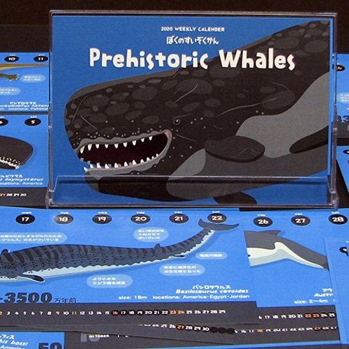2020クジラの進化カレンダー カレンダー 友永たろ 通販 8342697