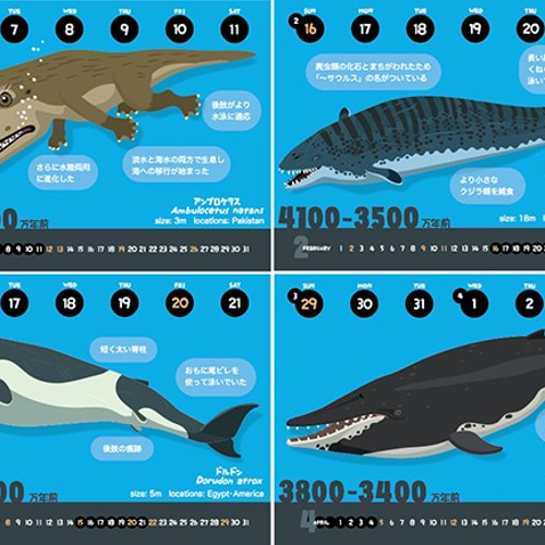 2020クジラの進化カレンダー カレンダー 友永たろ 通販 8342697