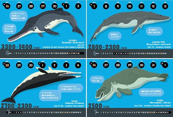 2020クジラの進化カレンダー（エコパック） 3枚目の画像
