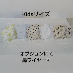 Kidsサイズ  立体 マスク 【ワイヤー入れられます】  5種類からお選び下さい 1枚目の画像