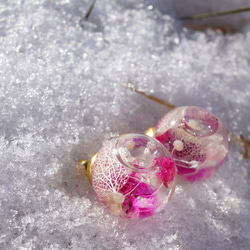 雪解けを待つ花 4枚目の画像