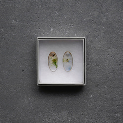 moment-Specimen Earrings（Derphinium） - 第2張的照片