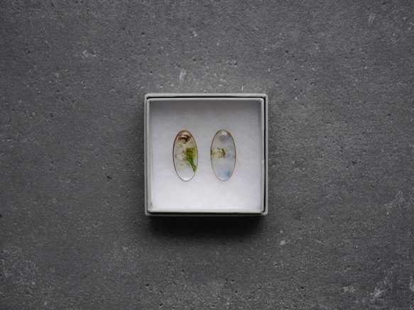 moment-Specimen Earrings（Derphinium） - 第2張的照片